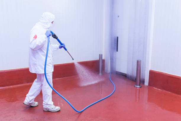 Best Dumpster Area Cleaning  in Chelsea Cove, NY